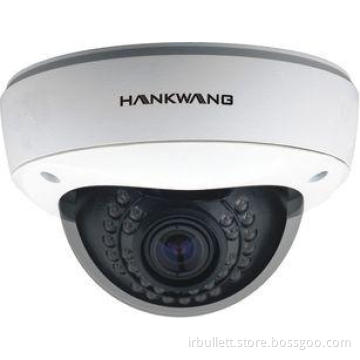 AGC 0.001 Lux SONY CCD Vandal Proof Dome Camera / Business